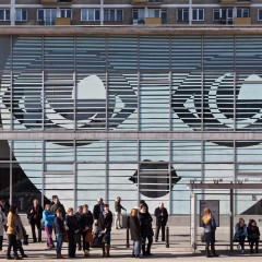 Polish curator Ewa Kozik presents seminal exhibition “As You Can See: Polish Art Today” – curator’s pick